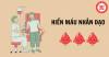 hien mau nhan dao (1)