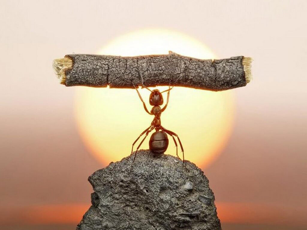 tkb áp dụng tuần 19, 8/01/2024 đến 13/01/2029